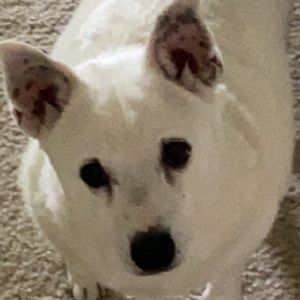 Meet your Posher, Elisa